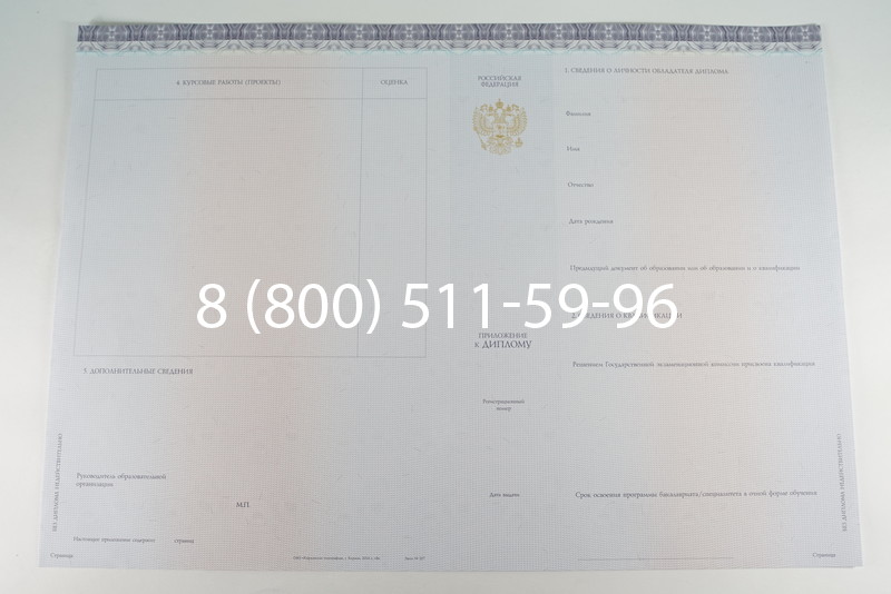 Диплом бакалавра (Киржач) 2014-2024 года в Тюмени